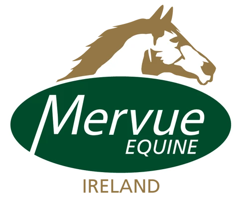logo mervue