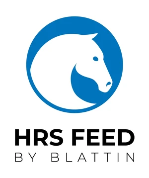 logo blattin